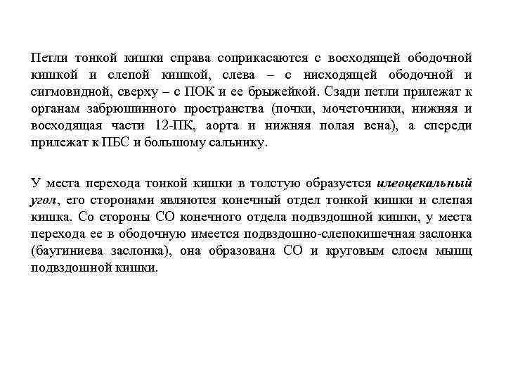 Петли тонкой кишки справа соприкасаются с восходящей ободочной кишкой и слепой кишкой, слева –