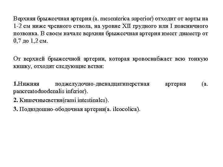 Верхняя брыжеечная артерия (a. mesenterica superior) отходит от аорты на 1 2 см ниже