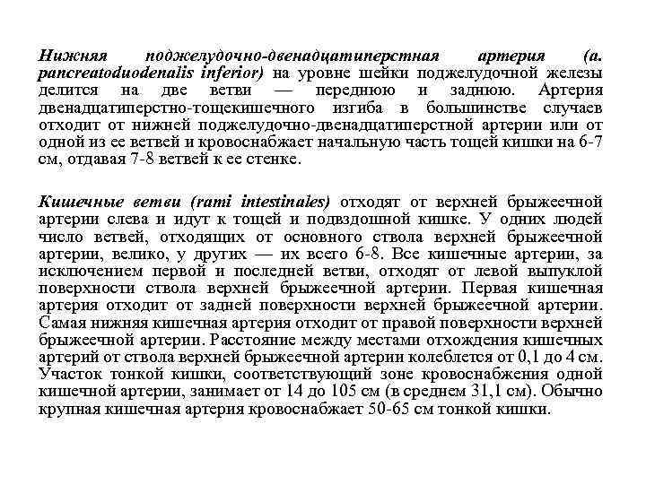 Нижняя поджелудочно-двенадцатиперстная артерия (a. pancreatoduodenalis inferior) на уровне шейки поджелудочной железы делится на две