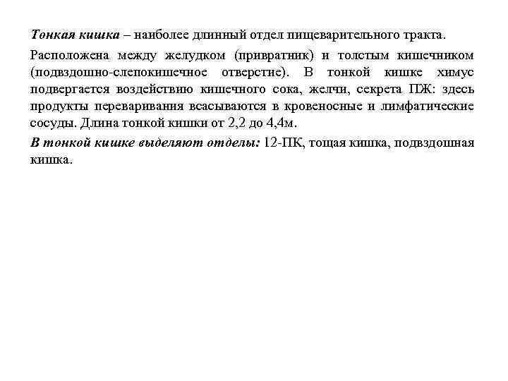 Тонкая кишка – наиболее длинный отдел пищеварительного тракта. Расположена между желудком (привратник) и толстым