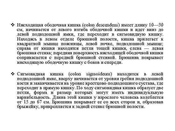 v Нисходящая ободочная кишка (colon descendens) имеет длину 10— 30 см, начинается от левого