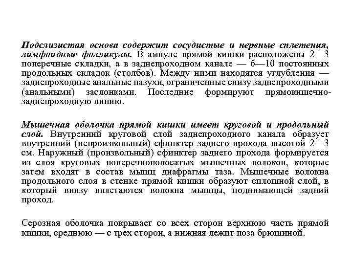 Подслизистая основа содержит сосудистые и нервные сплетения, лимфоидные фолликулы. В ампуле прямой кишки расположены