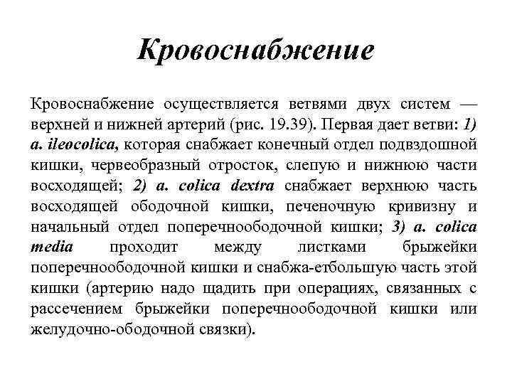 Кровоснабжение осуществляется ветвями двух систем — верхней и нижней артерий (рис. 19. 39). Первая