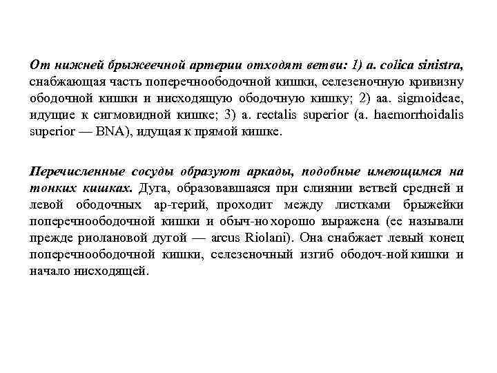 От нижней брыжеечной артерии отходят ветви: 1) a. colica sinistra, снабжающая часть поперечноободочной кишки,