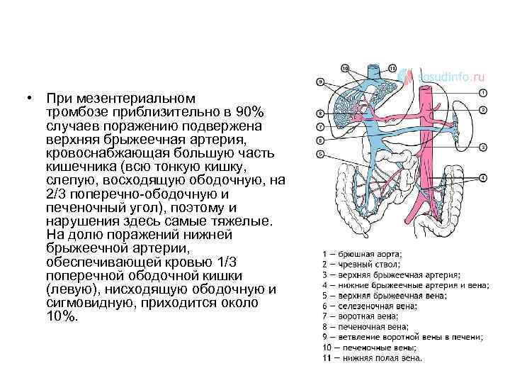  • При мезентериальном тромбозе приблизительно в 90% случаев поражению подвержена верхняя брыжеечная артерия,