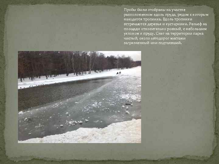 Пробы были отобраны на участке расположенном вдоль пруда, рядом с которым находится тропинка. Вдоль