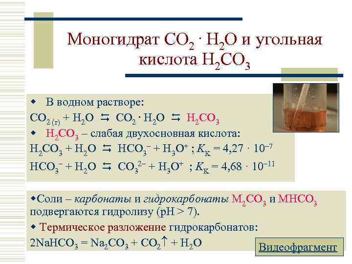 Моногидрат CO 2. H 2 O и угольная кислота H 2 CO 3 w