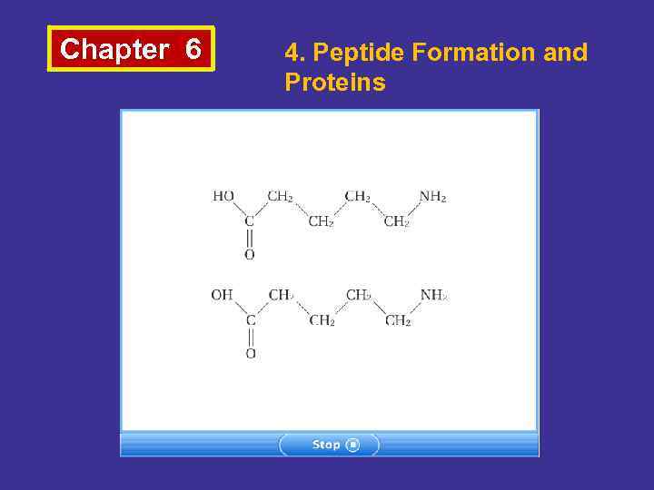 Chapter 6 4. Peptide Formation and Proteins 