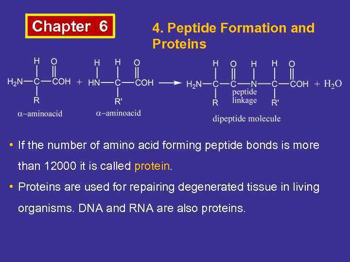 Chapter 6 4. Peptide Formation and Proteins • If the number of amino acid