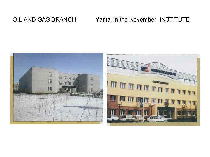 OIL AND GAS BRANCH Yamal in the November INSTITUTE 