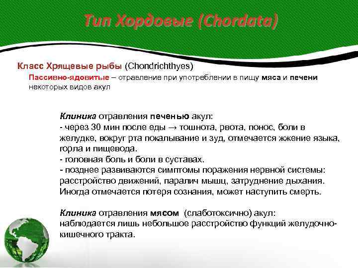 Тип Хордовые (Chordata) Класс Хрящевые рыбы (Chondrichthyes) Пассивно-ядовитые – отравление при употреблении в пищу