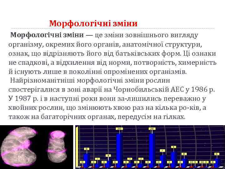 Морфологічні зміни — це зміни зовнішнього вигляду організму, окремих його органів, анатомічної структури, ознак,