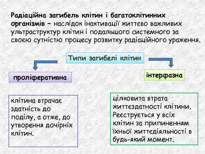 Радіаційна загибель клітин і багатоклітинних організмів – наслідок інактивації життєво важливих ультраструктур клітин і