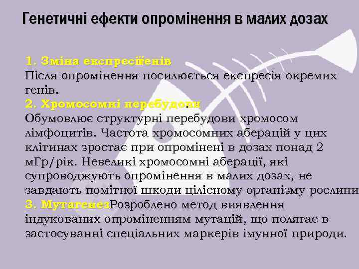 Генетичні ефекти опромінення в малих дозах 1. Зміна експресії генів. Після опромінення посилюється експресія