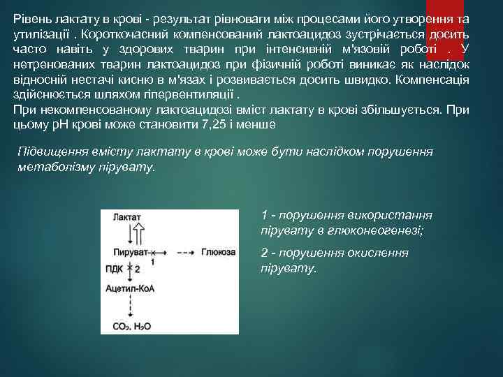 Рівень лактату в крові - результат рівноваги між процесами його утворення та утилізації. Короткочасний