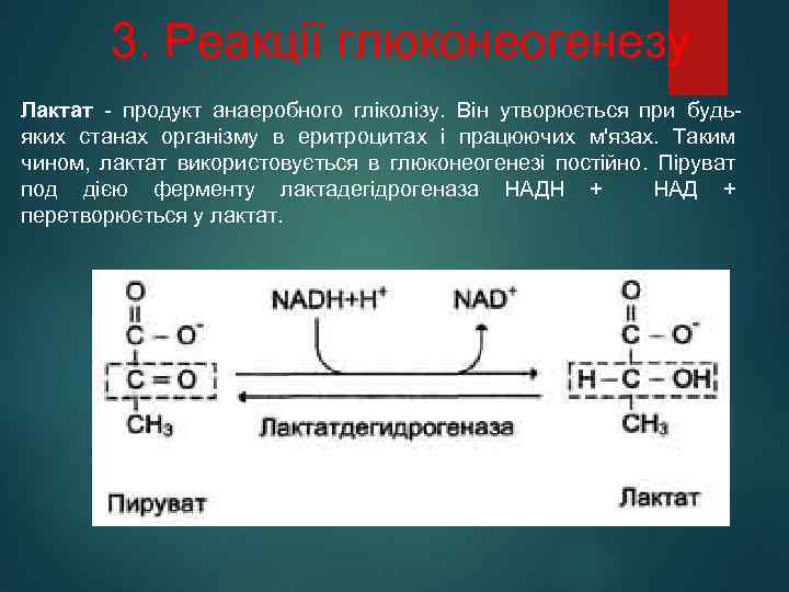 3. Реакції глюконеогенезу Лактат - продукт анаеробного гліколізу. Він утворюється при будьяких станах організму