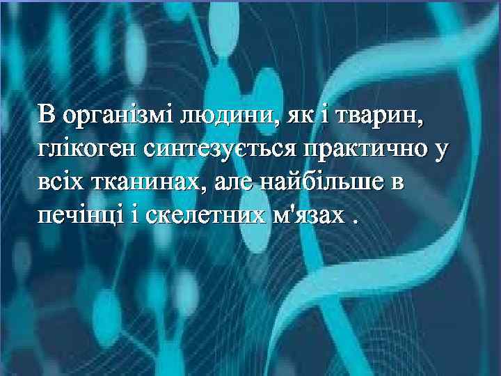 В організмі людини, як і тварин, глікоген синтезується практично у всіх тканинах, але найбільше