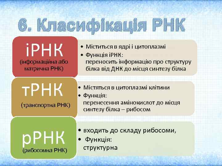 6. Класифікація РНК іРНК (інформаційна або матрична РНК) т. РНК (транспортна РНК) р. РНК