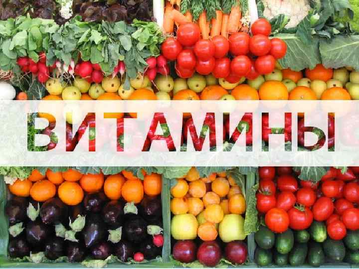 * Тема: Вітаміни та їх роль в організмі тварин 