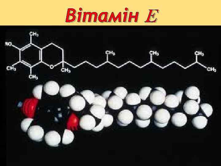 Вітамін E 