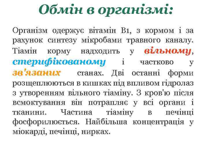 Обмін в організмі: Організм одержує вітамін В 1, з кормом і за рахунок синтезу