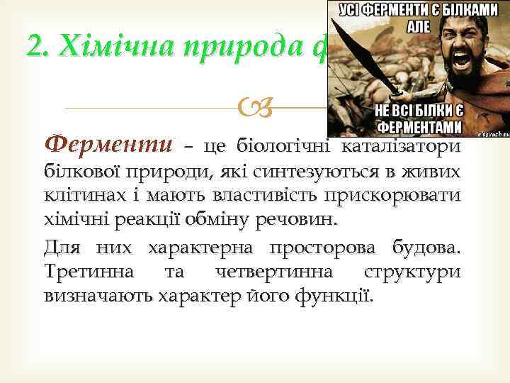 2. Хімічна природа ферментів. Ферменти – це біологічні каталізатори білкової природи, які синтезуються в