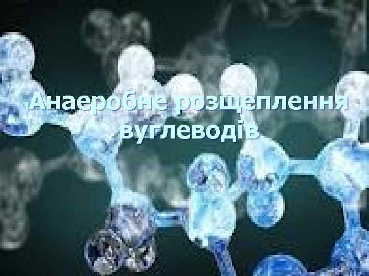 Анаеробне розщеплення вуглеводів 