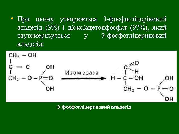 • При цьому утворюється 3 -фосфогліцеріновий альдегід (3%) і діоксіацетонфосфат (97%), який таутомеризується