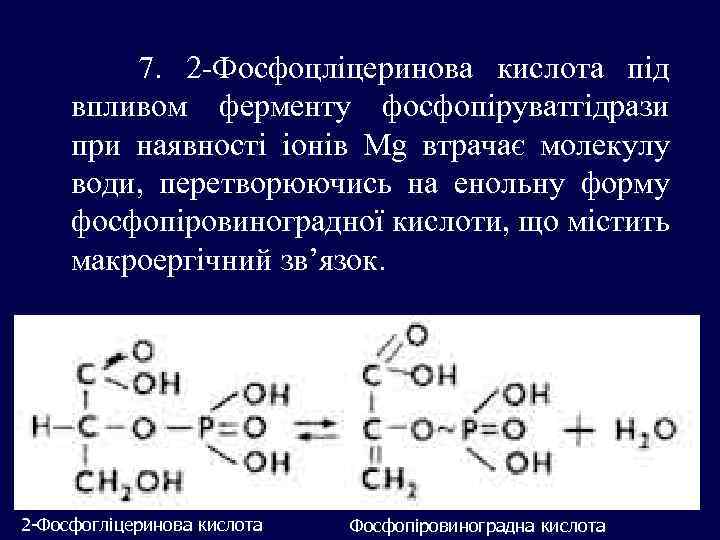 7. 2 -Фосфоцліцеринова кислота під впливом ферменту фосфопіруватгідрази при наявності іонів Mg втрачає молекулу