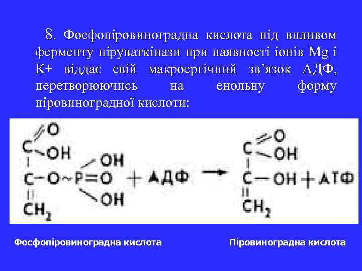 8. Фосфопіровиноградна кислота під впливом ферменту піруваткінази при наявності іонів Mg і К+ віддає