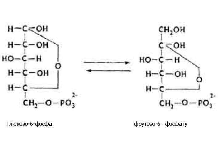 Глюкозо-6 -фосфат фрутозо-6 –фосфату 