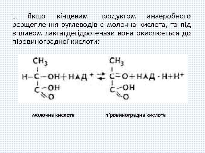 Якщо кінцевим продуктом анаеробного розщеплення вуглеводів є молочна кислота, то під впливом лактатдегідрогенази вона