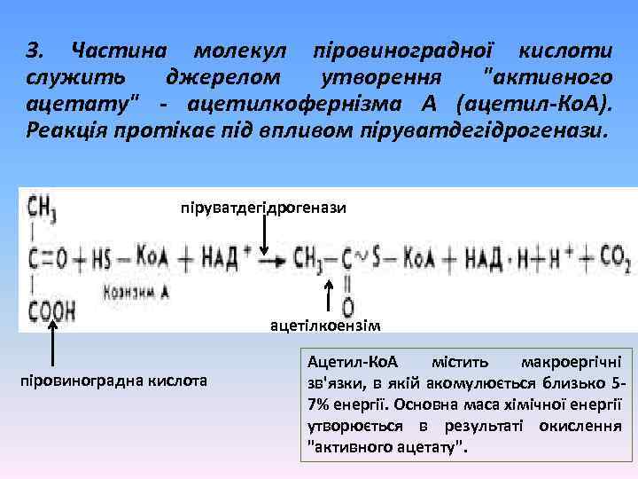 3. Частина молекул піровиноградної кислоти служить джерелом утворення "активного ацетату" - ацетилкофернізма А (ацетил-Ко.