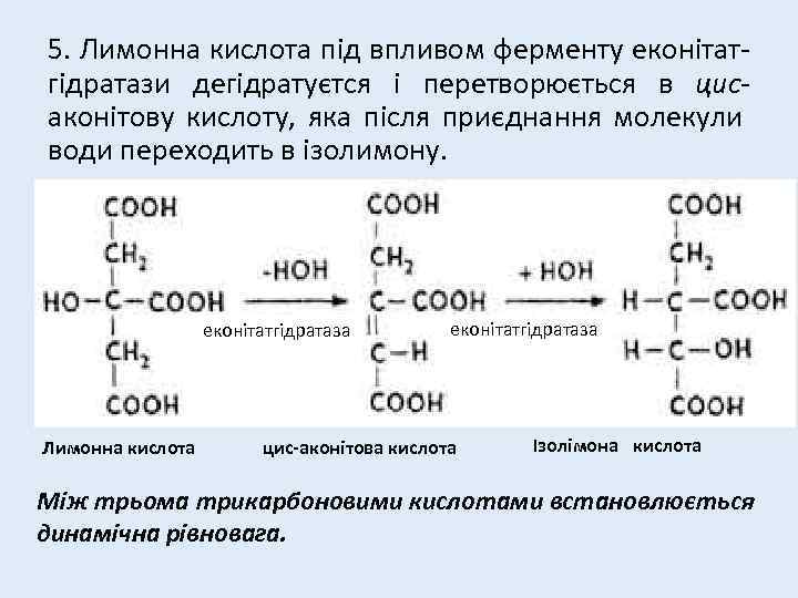5. Лимонна кислота під впливом ферменту еконітатгідратази дегідратуєтся і перетворюється в цисаконітову кислоту, яка