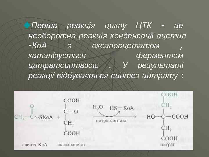 u. Перша реакція циклу ЦТК - це необоротна реакція конденсації ацетил -Ко. А з
