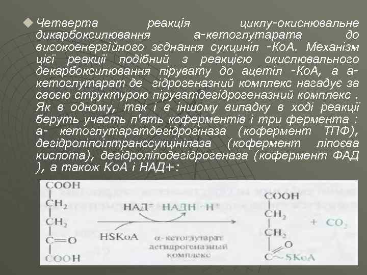 u Четверта реакцiя циклу-окиснювальне дикарбоксилювання а-кетоглутарата до високоенергiйного зєднання сукциніл -Ко. А. Механізм цієї
