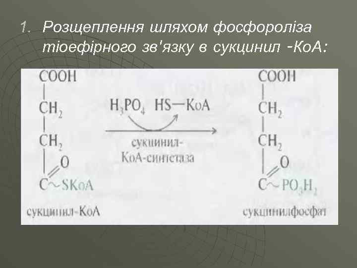 1. Розщеплення шляхом фосфороліза тіоефірного зв'язку в сукцинил -Ко. А: 