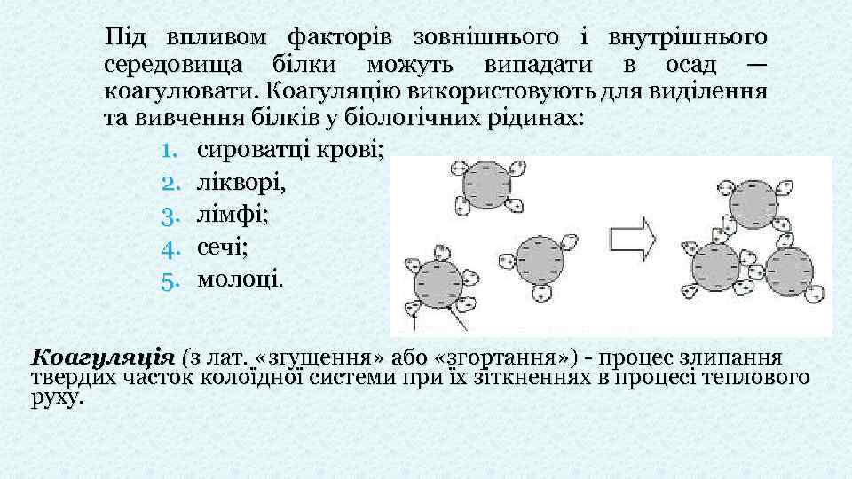 Під впливом факторів зовнішнього і внутрішнього середовища білки можуть випадати в осад — коагулювати.