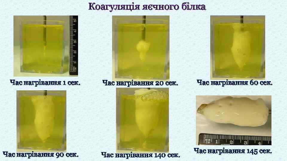 Коагуляція яєчного білка Час нагрівання 1 сек. Час нагрівання 20 сек. Час нагрівання 90