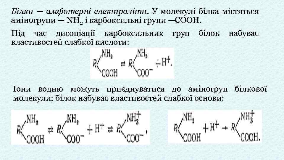 Білки — амфотерні електроліти. У молекулі білка містяться аміногрупи — NH 2 і карбоксильні