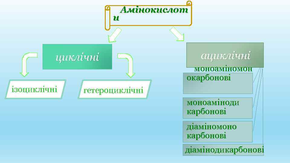и Амінокислот циклічні ізоциклічні ациклічні моноаміномон окарбонові гетероциклічні моноаміноди карбонові діаміномоно карбонові діамінодикарбонові 