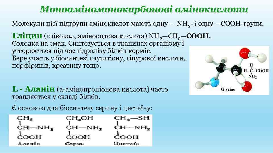 Моноаміномонокарбонові амінокислоти Молекули цієї підгрупи амінокислот мають одну — NH 2 - і одну