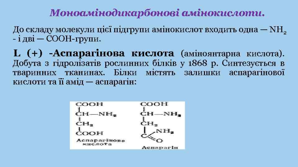 Моноамінодикарбонові амінокислоти. До складу молекули цієї підгрупи амінокислот входить одна — NH 2 -
