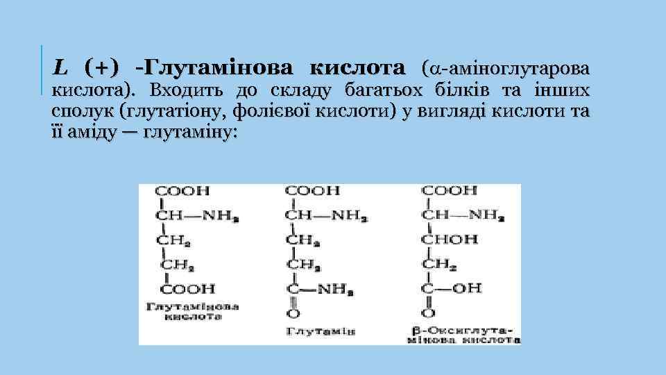 L (+) -Глутамінова кислота ( -аміноглутарова кислота). Входить до складу багатьох білків та інших