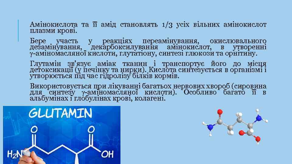 Амінокислота та її амід становлять 1/3 усіх вільних амінокислот плазми крові. Бере участь у