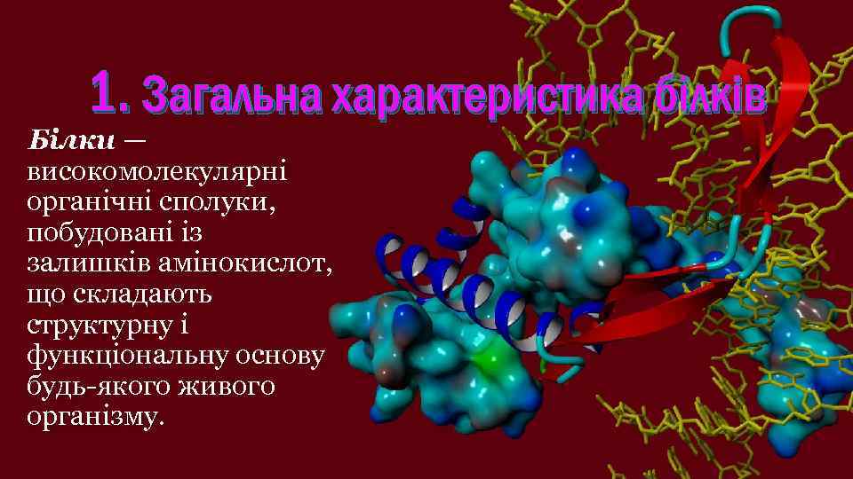 1. Загальна характеристика білків Білки — високомолекулярні органічні сполуки, побудовані із залишків амінокислот, що