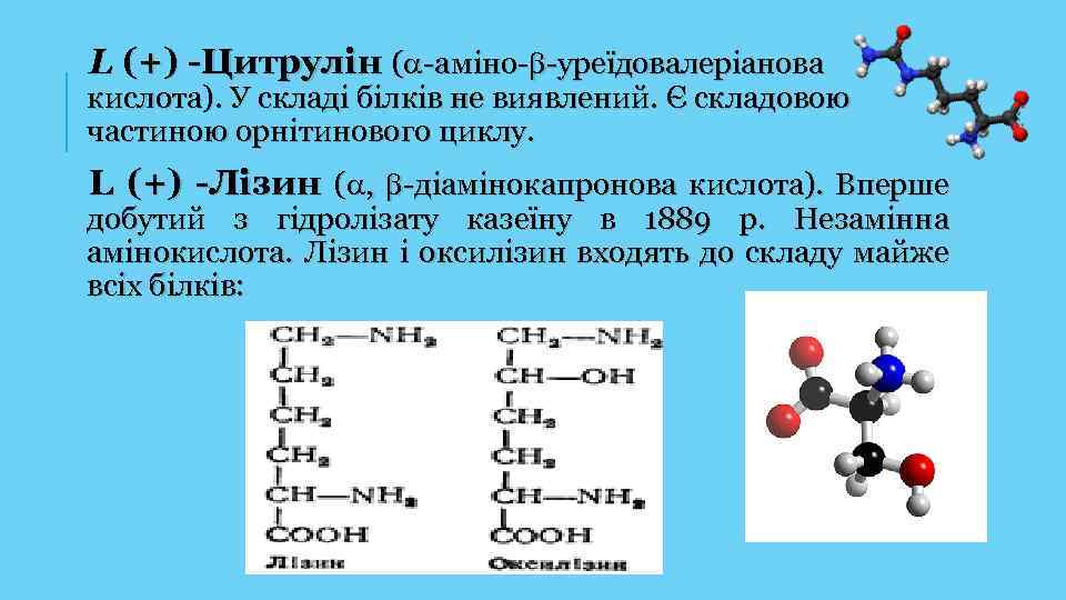 L (+) -Цитрулін ( -аміно- -уреїдовалеріанова кислота). У складі білків не виявлений. Є складовою