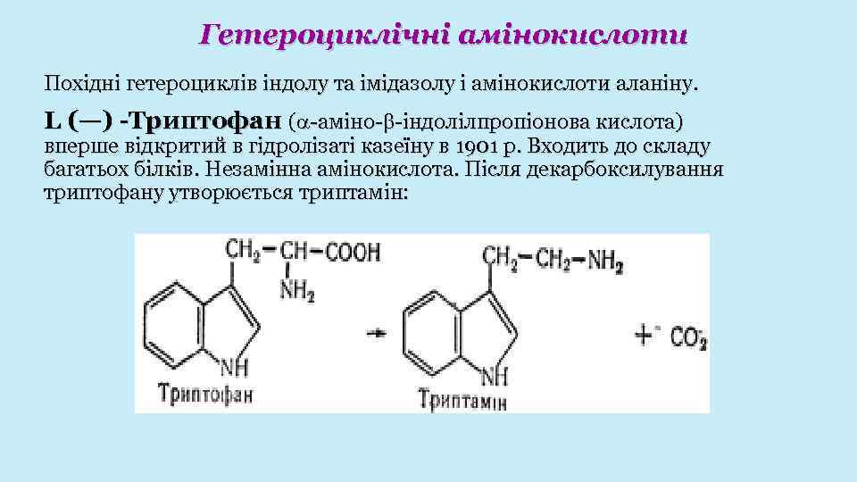 Гетероциклічні амінокислоти Похідні гетероциклів індолу та імідазолу і амінокислоти аланіну. L (—) -Триптофан (