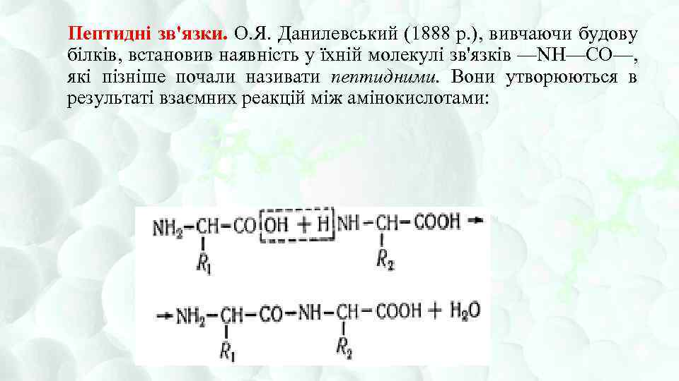 Пептидні зв'язки. О. Я. Данилевський (1888 p. ), вивчаючи будову білків, встановив наявність у