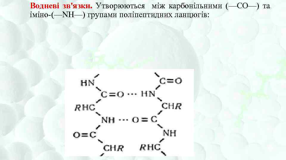 Водневі зв'язки. Утворюються між карбонільними (—CO—) та іміно (—NH—) групами поліпептидних ланцюгів: 